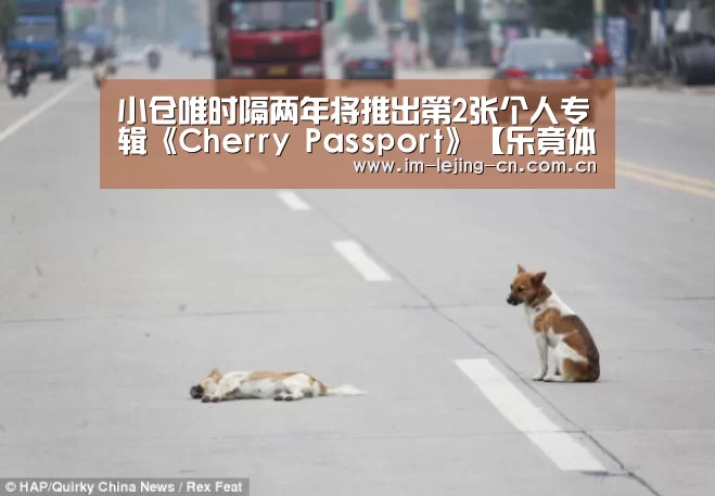 小仓唯时隔两年将推出第2张个人专辑《Cherry Passport》【乐竟体育App下载】(图2) 乐竟体育App下载