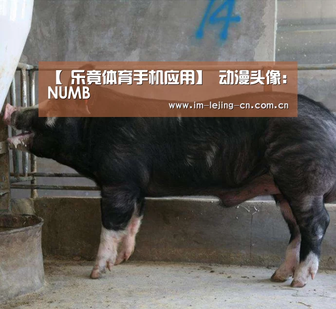 【 乐竟体育手机应用】
动漫头像:NUMB(图35) 乐竟体育App下载